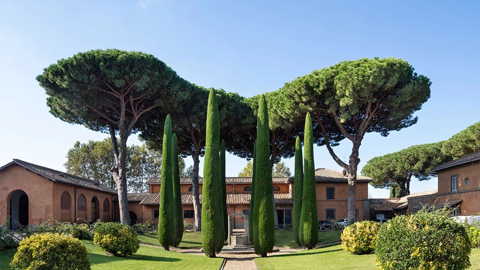 Umbrella pines and cypresses, Castel Gandolfo